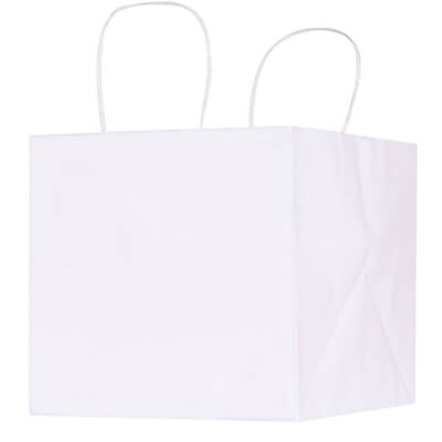 Kraft paper white 10 inch wide takeout bag blank.