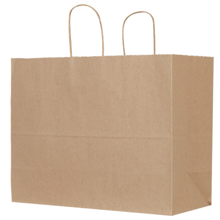 Paper kraft eco recyclable bag blank.
