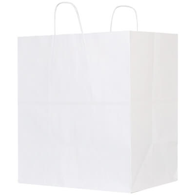 Paper white recyclable bag blank.