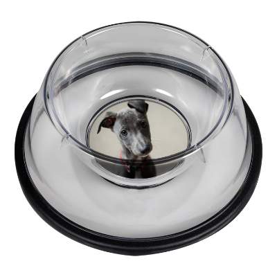 Clear small pet bowl blank.