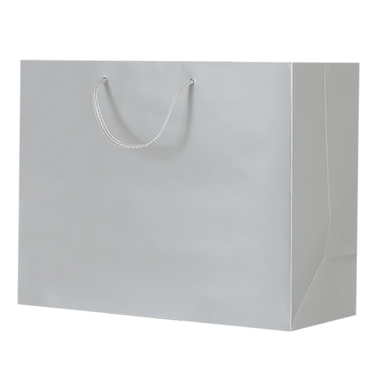 Paper matte recyclable eurotote bag blank.