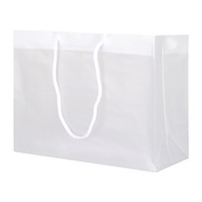 Plastic frosted clear large eurotote blank.
