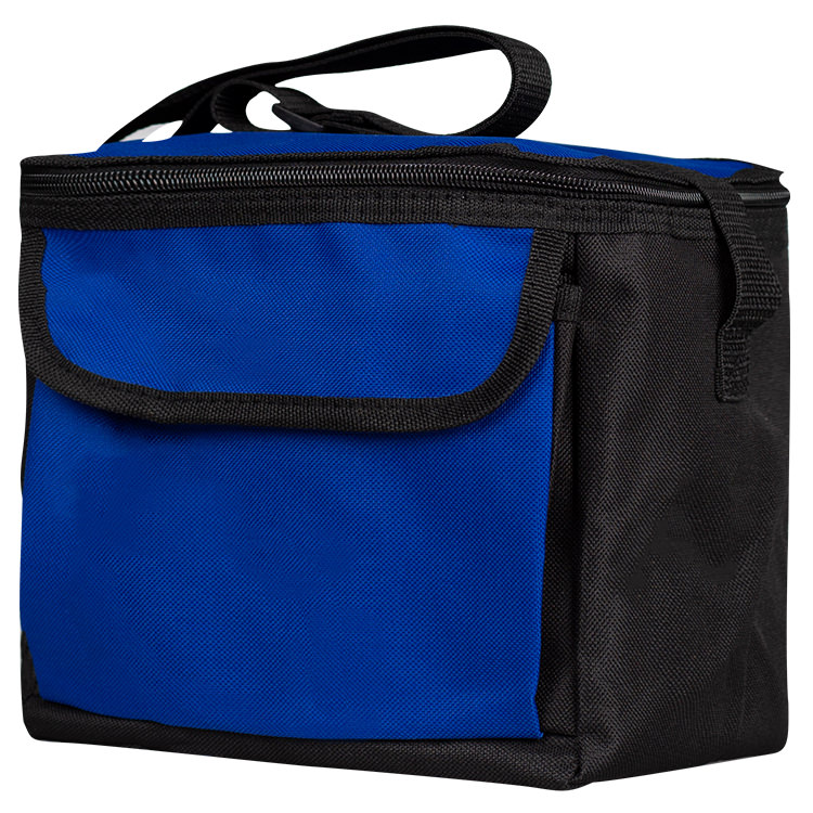 Polycanvas 6 can insulated bag.