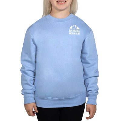 Custom imprinted blue youth sweatshirt.