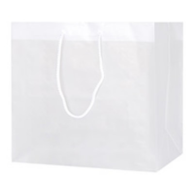 Plastic frosted clear eurotote blank.