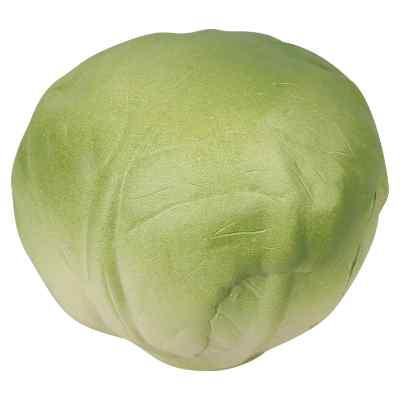 Foam lettuce stress ball blank. 