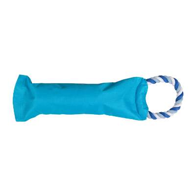 Blue dog toy blank