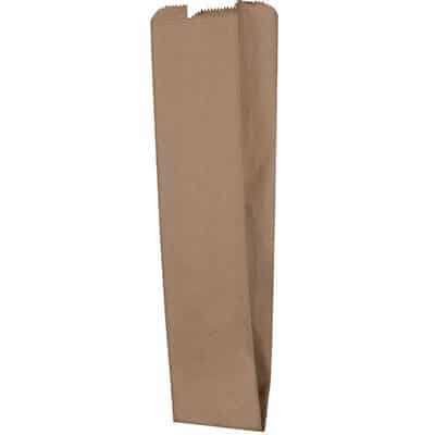 Kraft paper 5 inch merchandise bag blank.