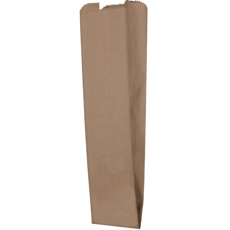 Kraft paper 5 inch merchandise bag.
