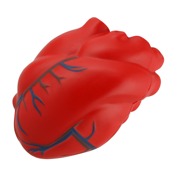 Foam anatomical heart with veins stress ball.