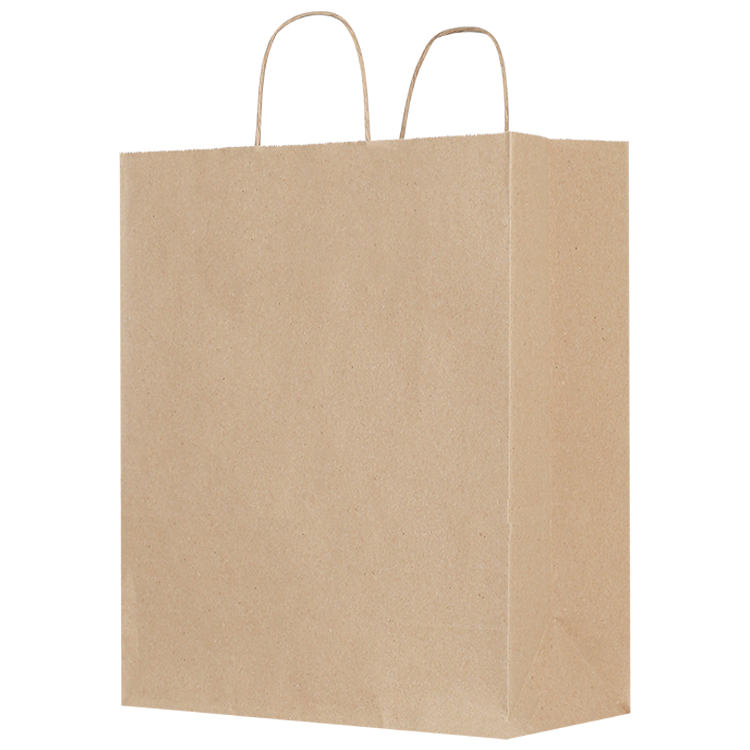 Blank Paper Bag