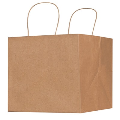 Natural Kraft paper 10 inch wide takeout bag blank.