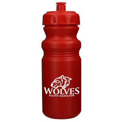 Plastic frosted water bottle with custom logo and push pull lid in 20 ounces.