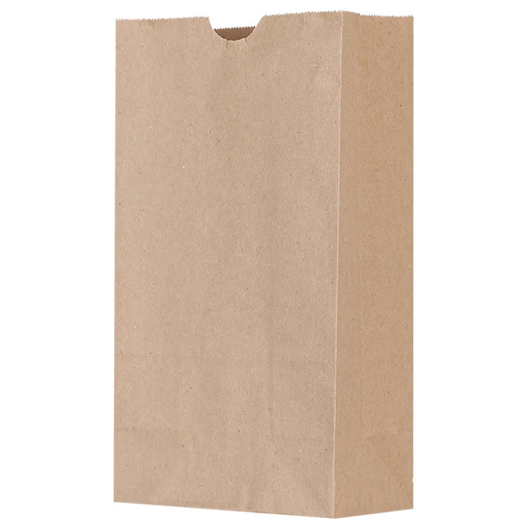 Paper kraft popcorn recyclable bag blank.