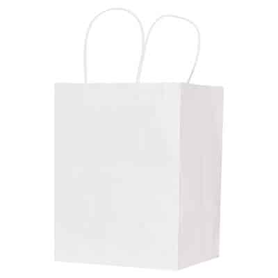 Paper white rizzo bag recyclable bag blank.