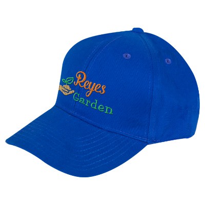 Embroidered cap in blue.
