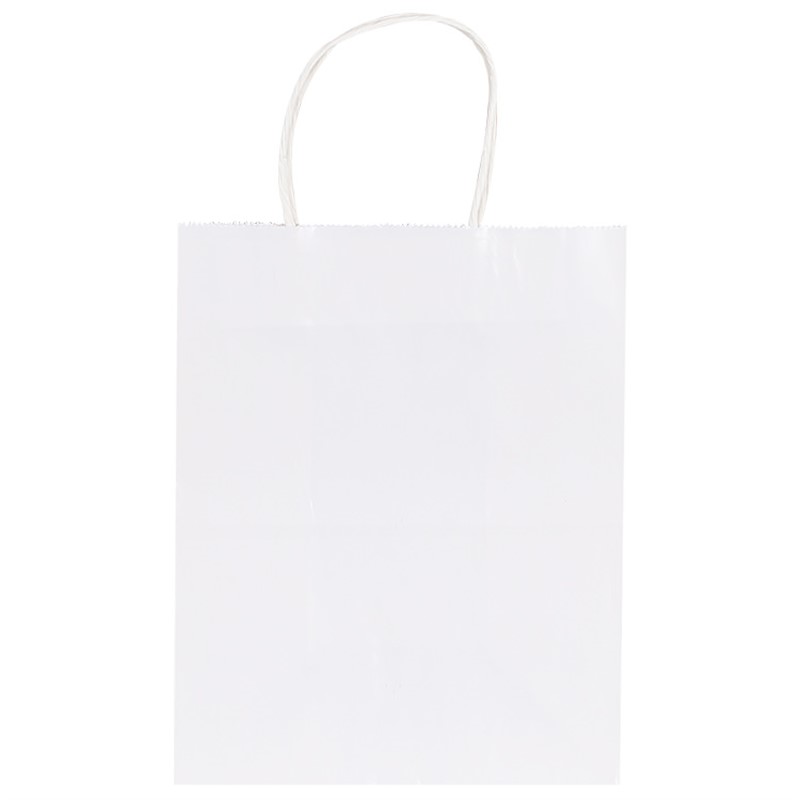 Paper recyclable bag blank.