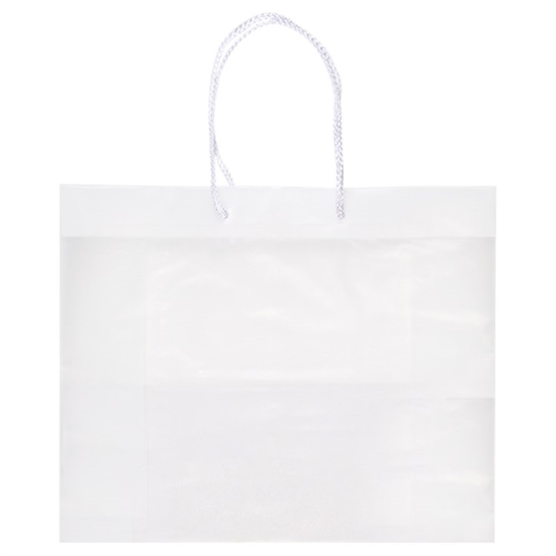 Plastic frosted large eurotote.
