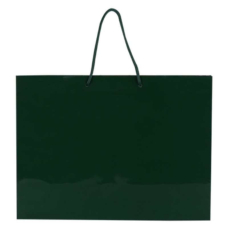 Paper recyclable eurotote bag blank.