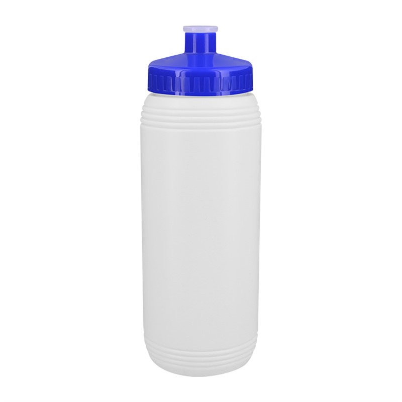 Plastic water bottle with push pull lid in 16 ounces.