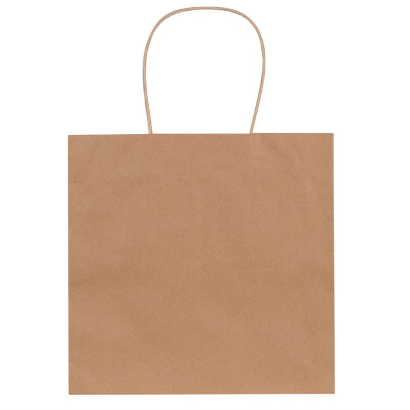 Natural Kraft paper 10 inch wide takeout bag.