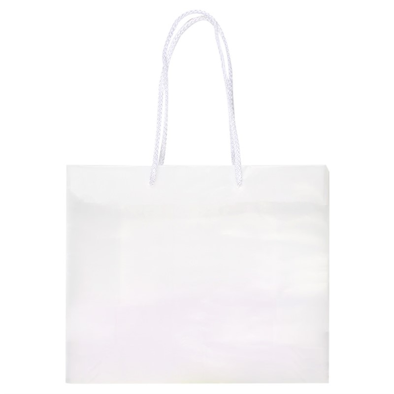 Plastic frosted eurotote.