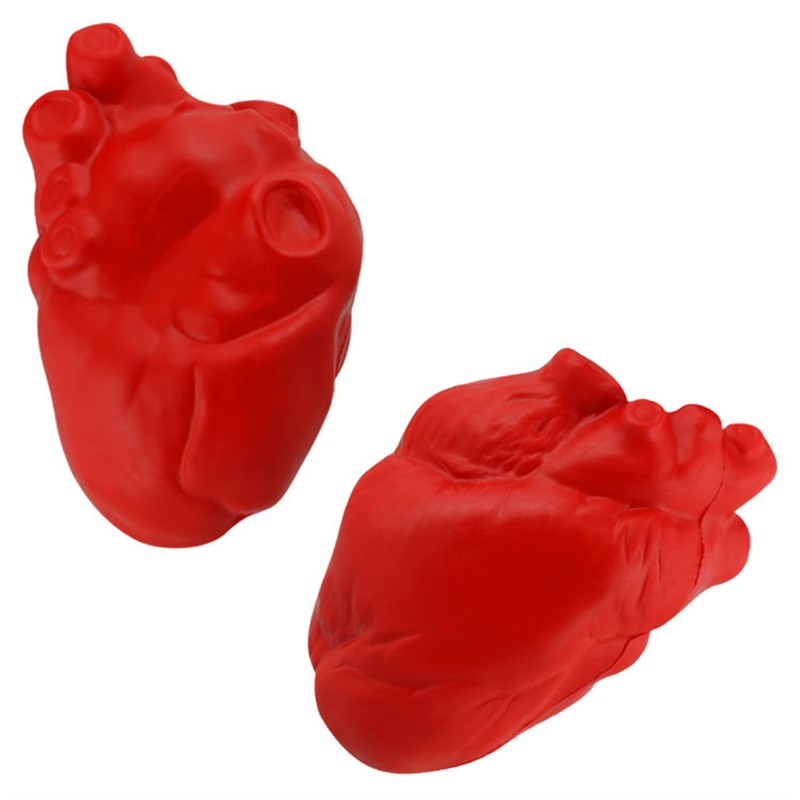 Foam anatomical heart stress ball.