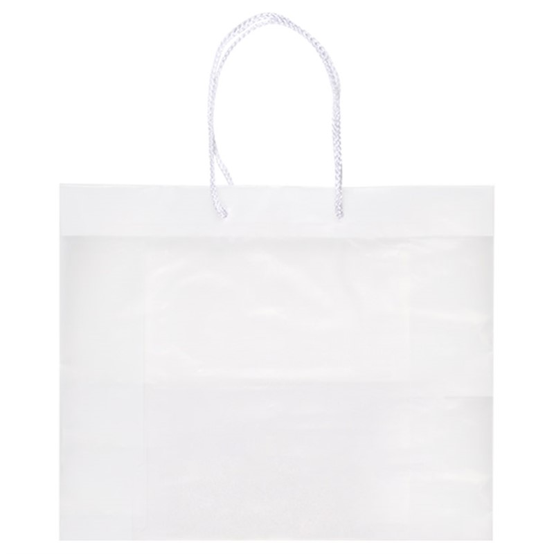 Plastic frosted large eurotote blank.