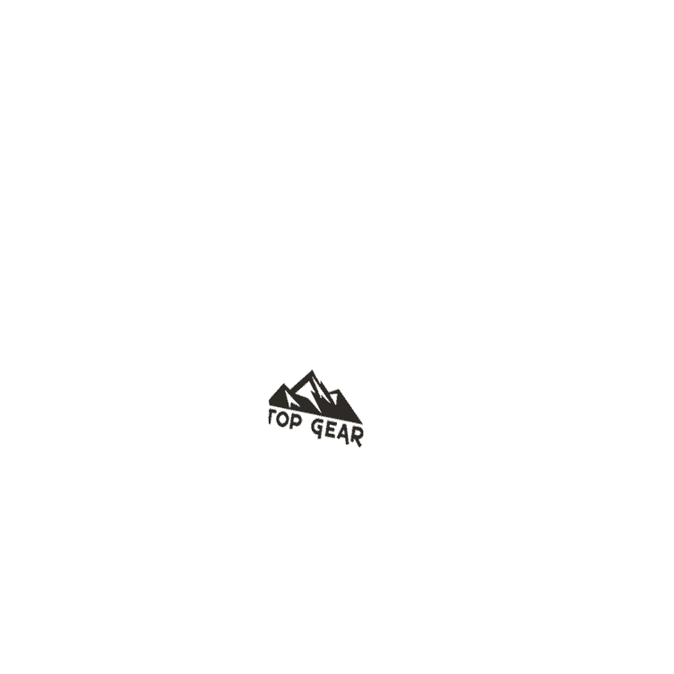 Custom Plush Shark Logo