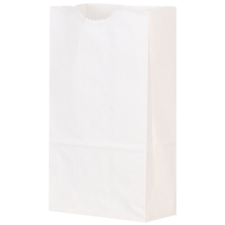 Paper peanut recyclable bag blank.