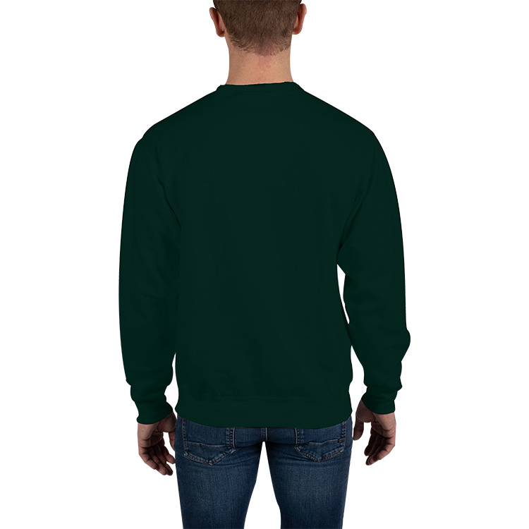 Blank crewneck sweatshirt