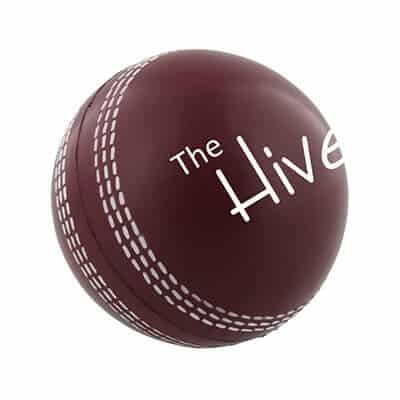 Foam cricket ball stress ball with imprinting.