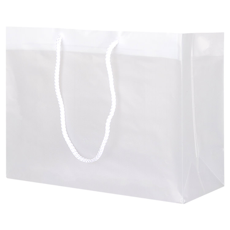 Plastic frosted large eurotote blank.