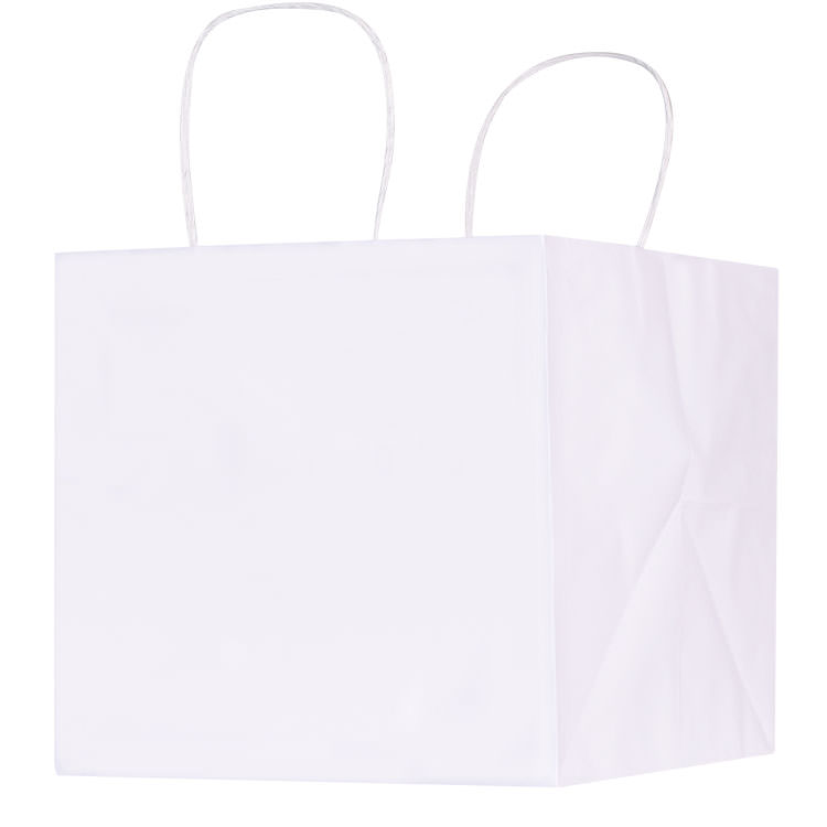 Kraft paper 10 inch wide takeout bag.
