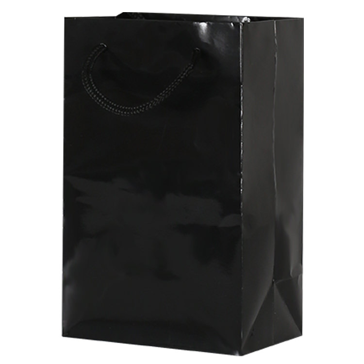 Paper recyclable eurotote bag blank.