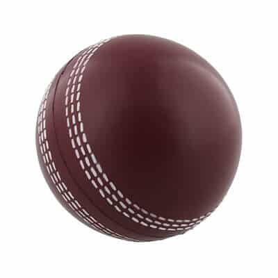 Foam cricket ball stress ball blank.