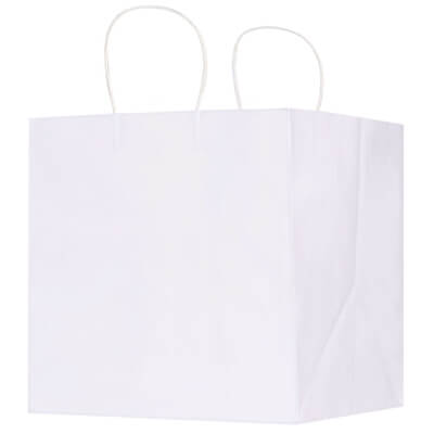 Kraft paper white 12 inch wide takeout bag blank.