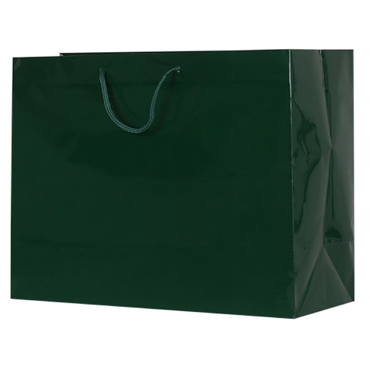 Paper  recyclable eurotote bag.